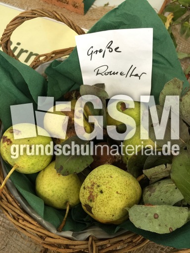 Große Romeller.jpg